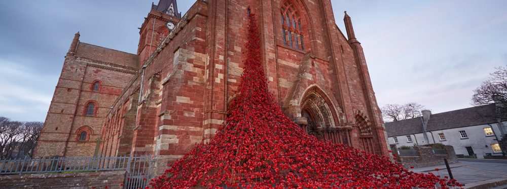 Poppies Orkney